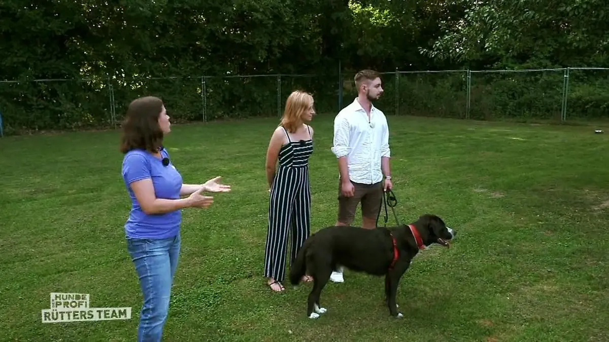 Theo trifft auf Hundetrainerin Steffi Die erste Trainingslektion