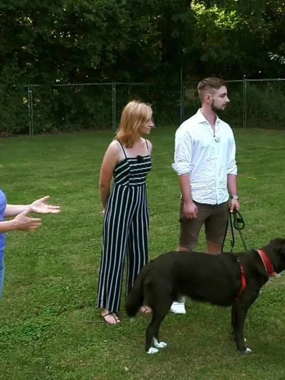 Bild zu: "Theo trifft auf Hundetrainerin Steffi"