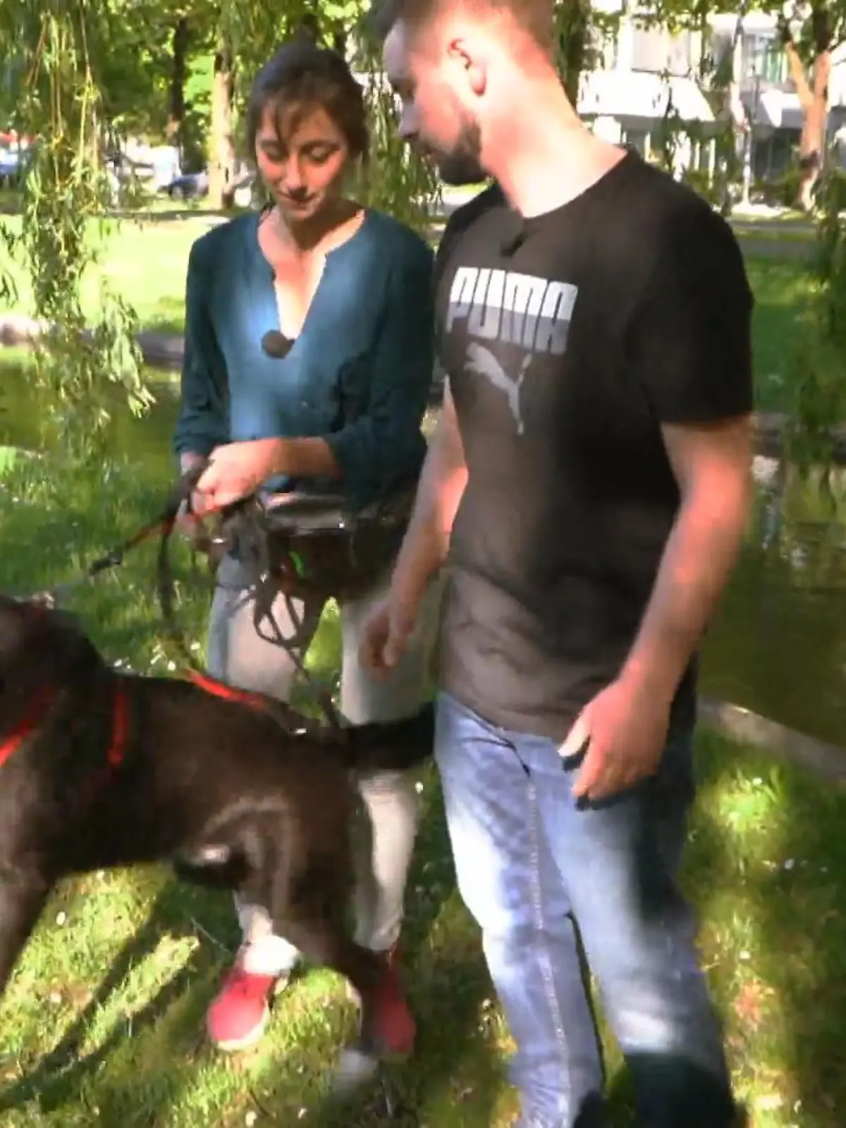 Bild zu: "Theo hat ein Problem mit Artgenossen und Katzen"