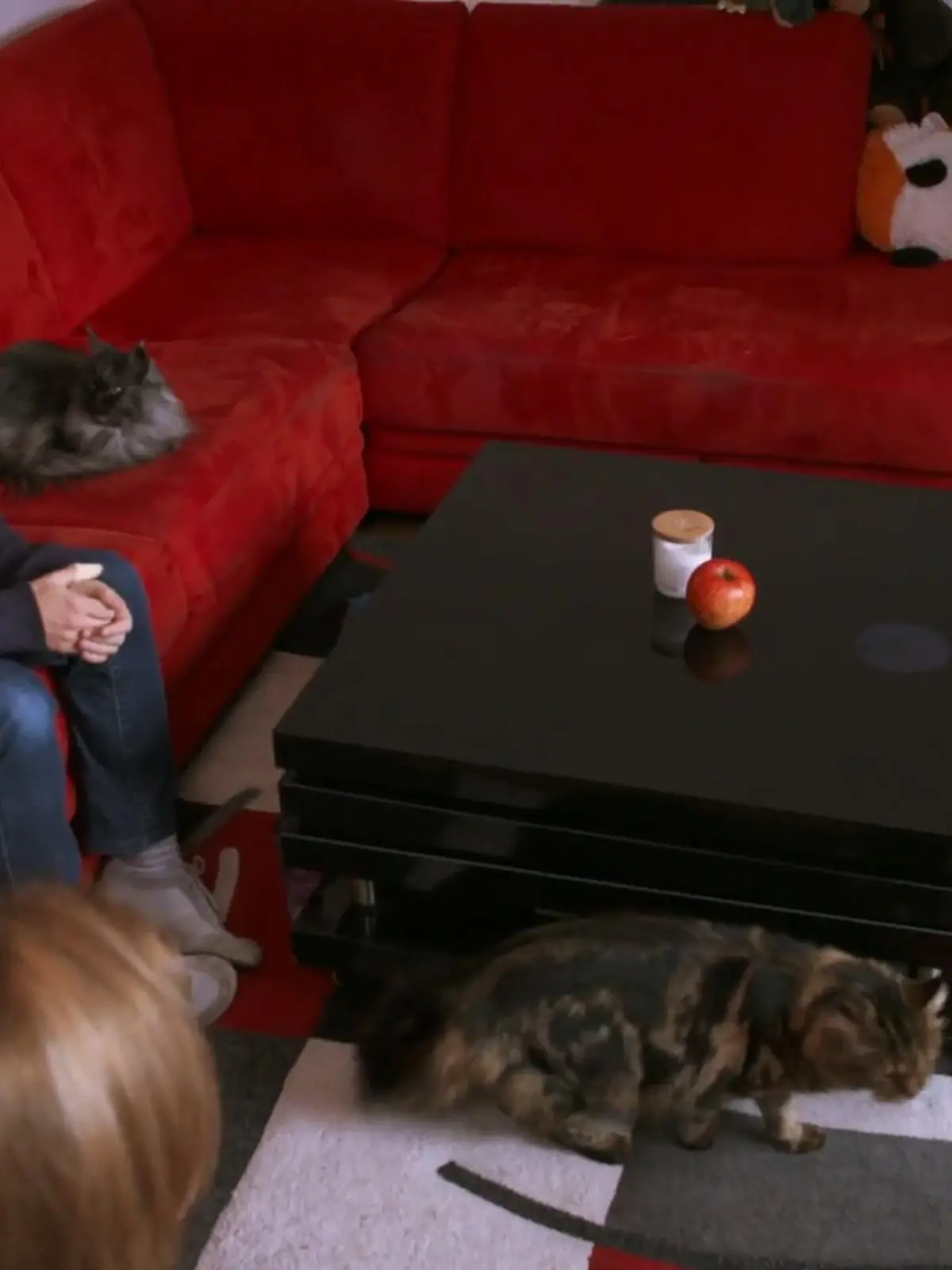 Bild zu: "Endlich Frieden im Wohnzimmer"