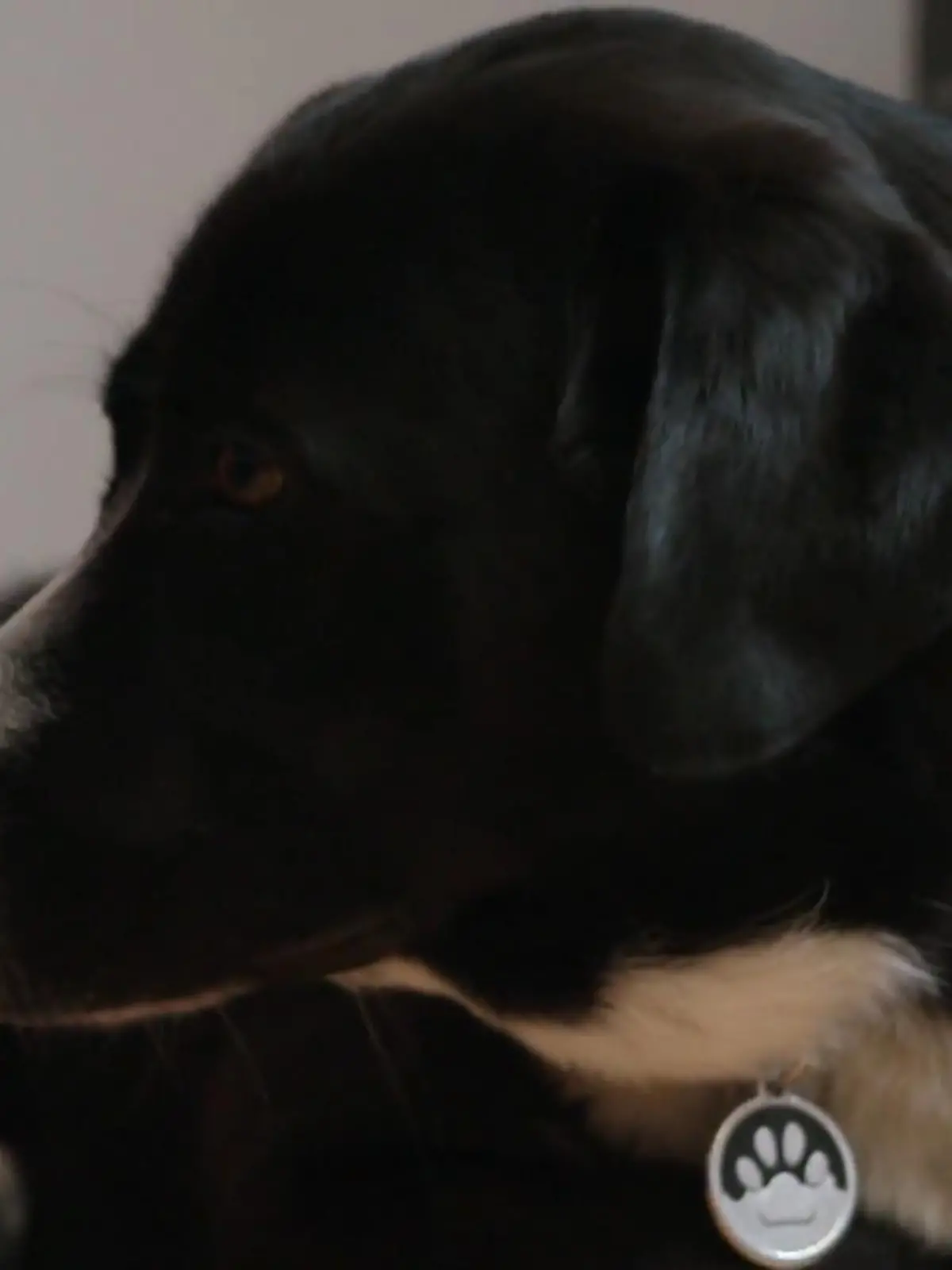 Bild zu: "Theo bietet ein Bild des Elends"