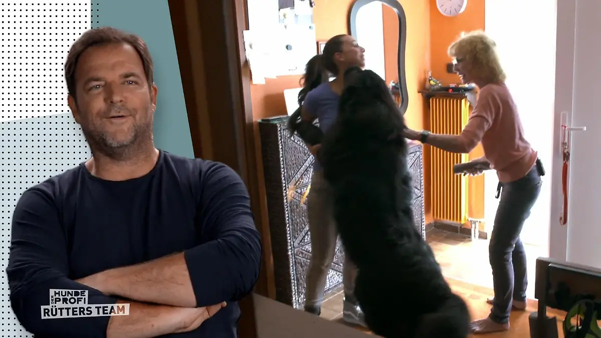 Smilla begrüßt jeden überschwänglich Distanz- und respektlos