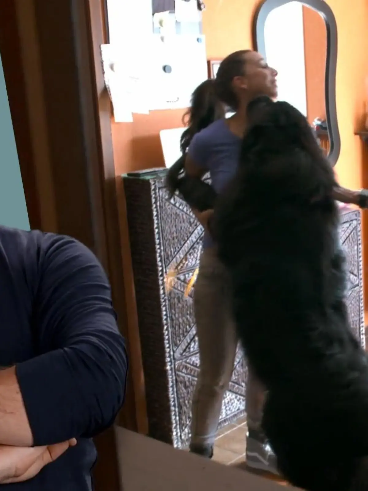 Bild zu: "Smilla begrüßt jeden überschwänglich"