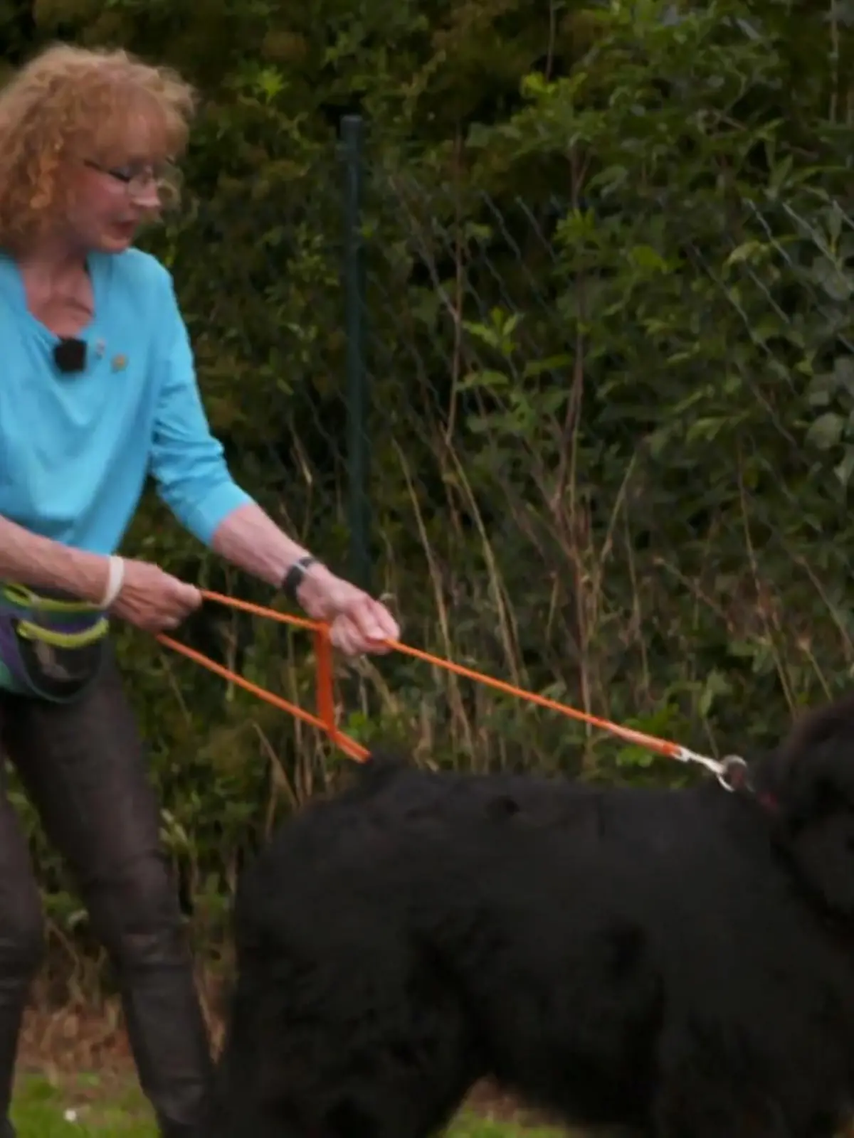 Bild zu: "Spazierengehen mit Smilla ist eine Kraftprobe"