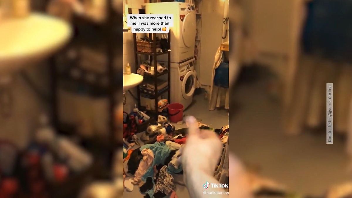 Ihgitt!: BÄHfluencerin putzt die Wohnungen fremder Menschen