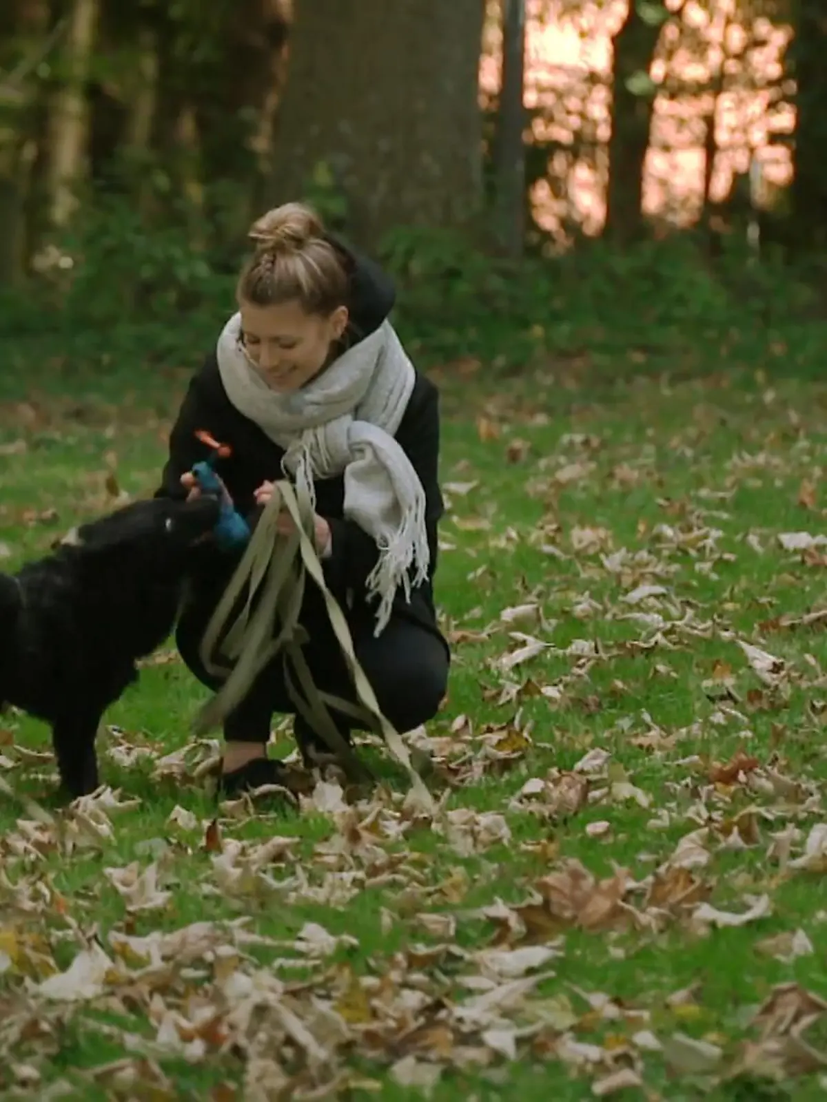 Bild zu: "Unterschied wie Tag und Nacht?"