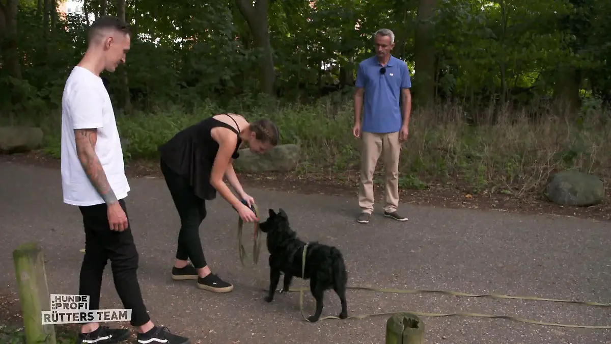 Kann Nova ihre Vergangenheit hinter sich lassen? Apportieren statt jagen!