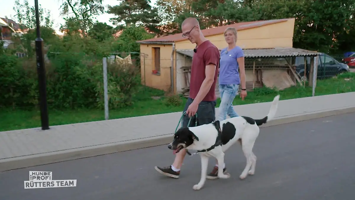 Akzeptiert Kenzo Kevin als Chef? Heikle Situation!