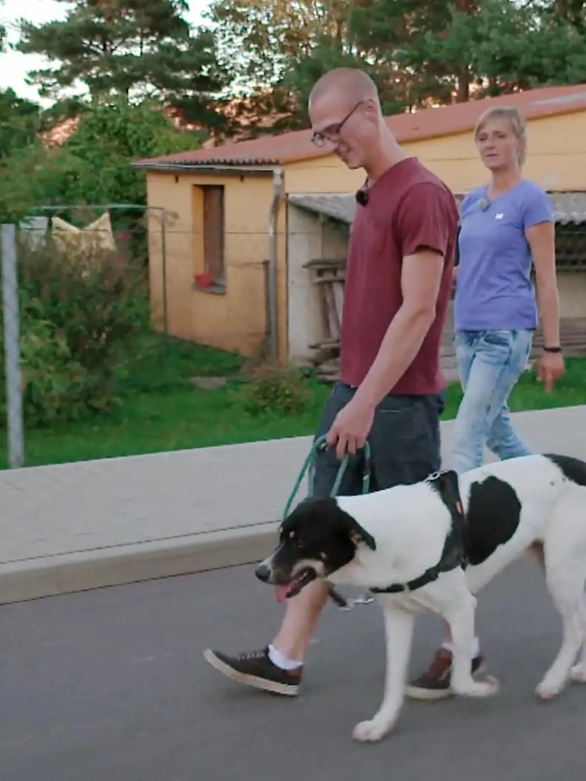 Bild zu: "Akzeptiert Kenzo Kevin als Chef?"