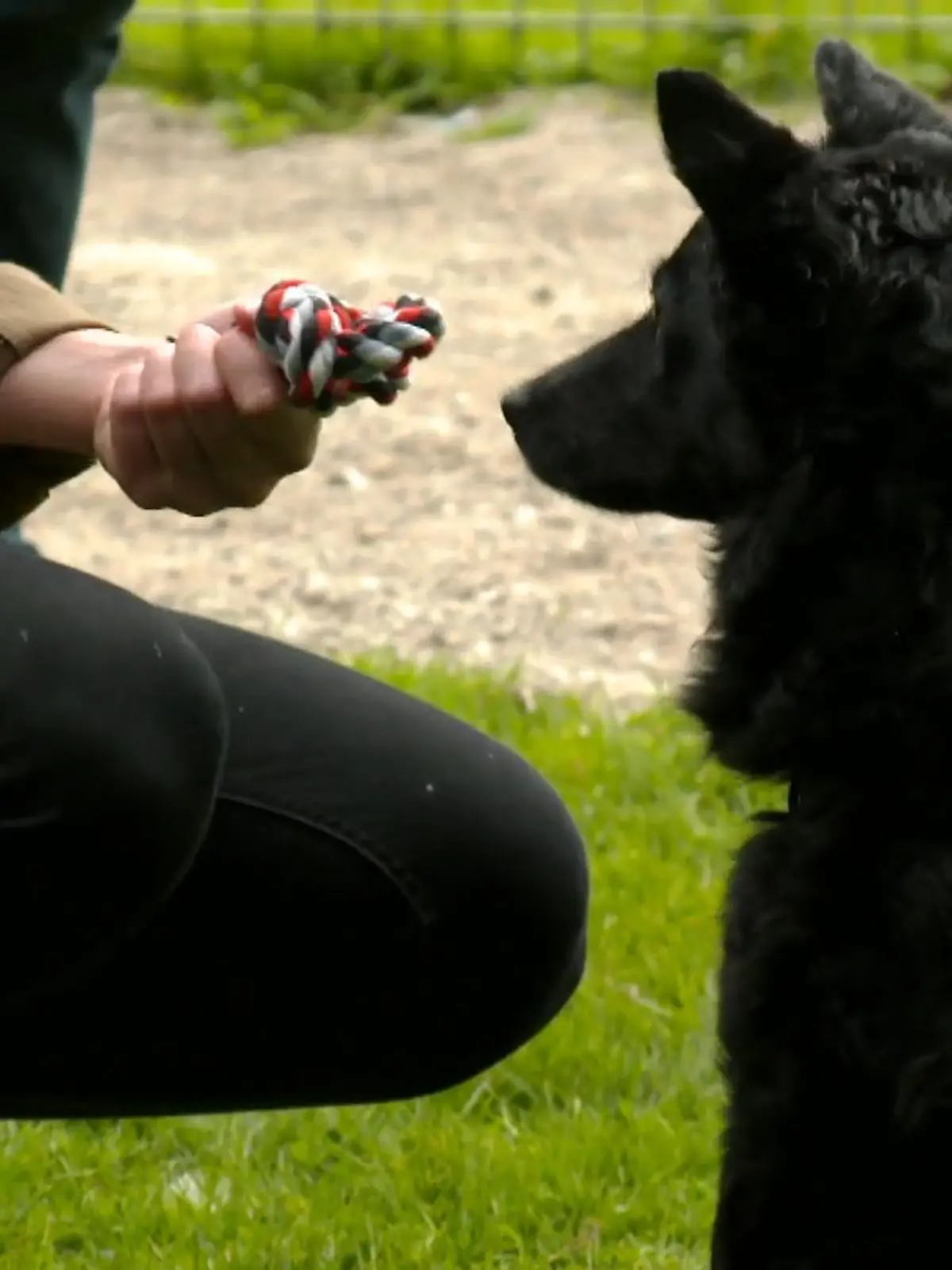 Bild zu: "Novas Training geht in die nächste Runde"