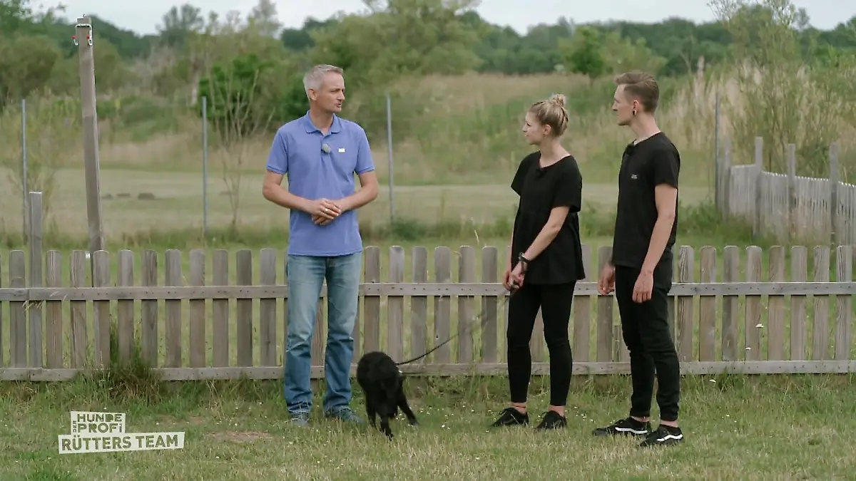 Novas Training beginnt! Futterbeutel statt Stress