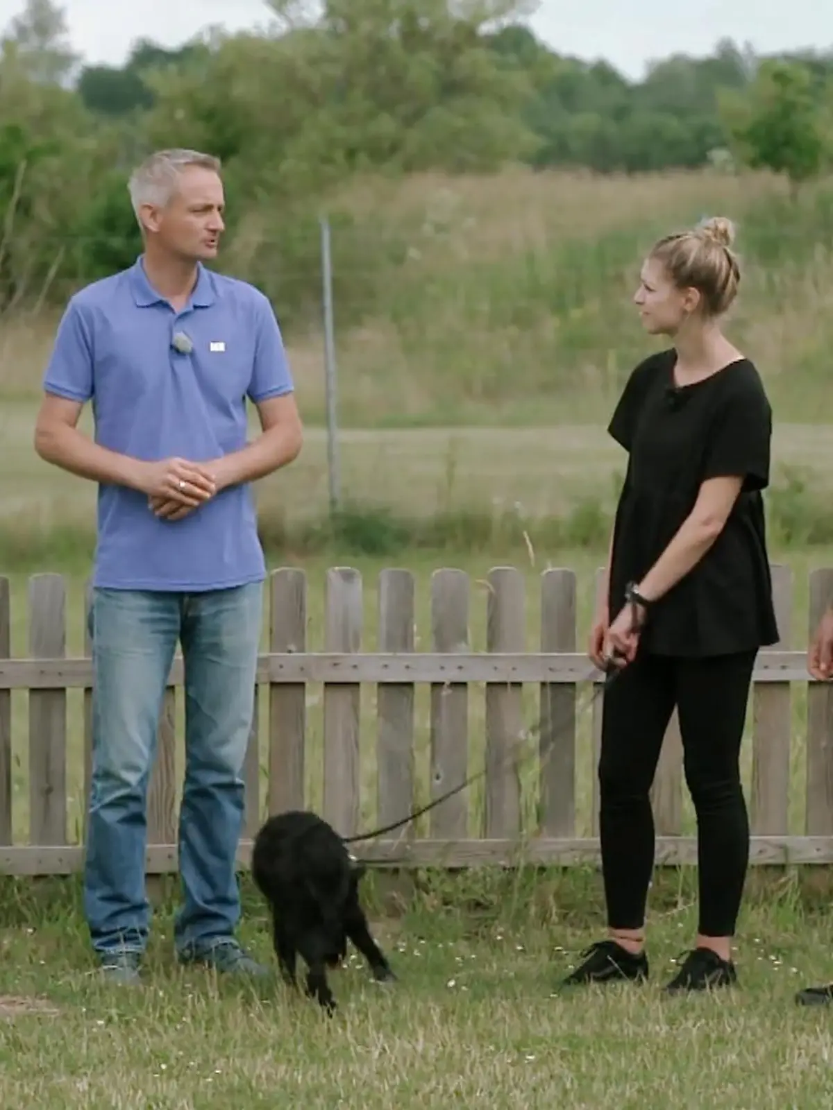 Bild zu: "Novas Training beginnt!"