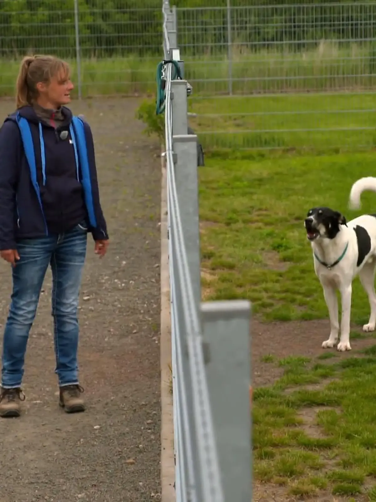 Bild zu: "Franzi analysiert Kenzos Verhalten genau!"