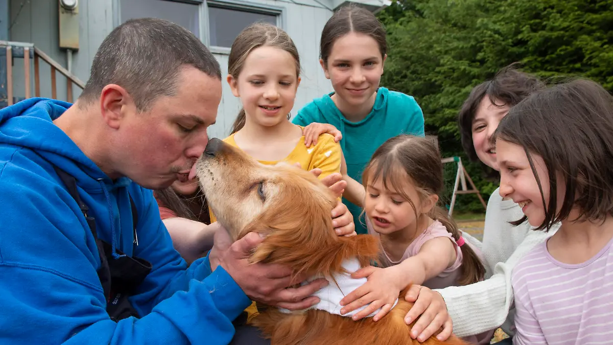 Ted Kubacki gets a lick from the family golden retriever, Lulu, outside their house after being reunited in Sitka, Alaska, on Thursday, July 7, 2022. The elderly, blind dog who had been missing three weeks, was found Tuesday, July 5, 2022, by a construction crew in salmonberry bushes after initially confusing her for a bear. Behind Ted is his wife, Rebecca, and their children Ella, Viola, Star, Lazaria and Olive. (James Poulson/The Daily Sitka Sentinel via AP)