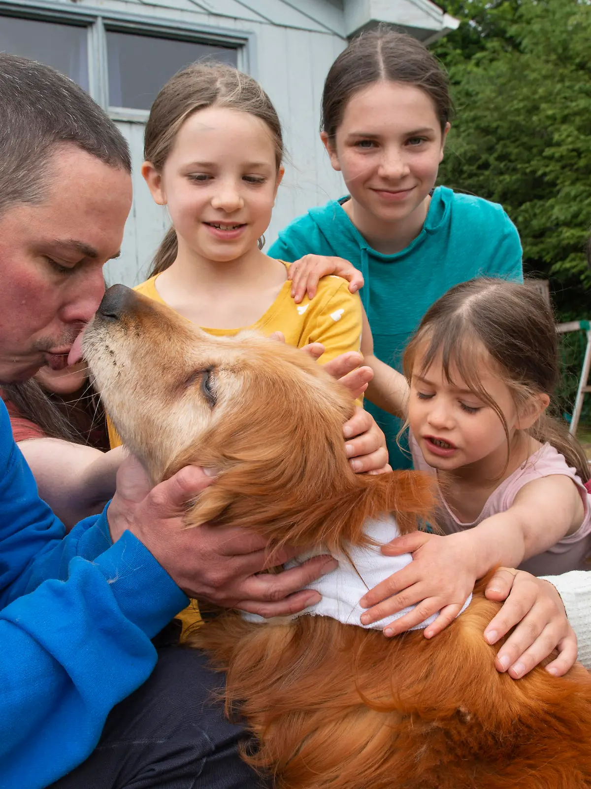 Ted Kubacki gets a lick from the family golden retriever, Lulu, outside their house after being reunited in Sitka, Alaska, on Thursday, July 7, 2022. The elderly, blind dog who had been missing three weeks, was found Tuesday, July 5, 2022, by a construction crew in salmonberry bushes after initially confusing her for a bear. Behind Ted is his wife, Rebecca, and their children Ella, Viola, Star, Lazaria and Olive. (James Poulson/The Daily Sitka Sentinel via AP)