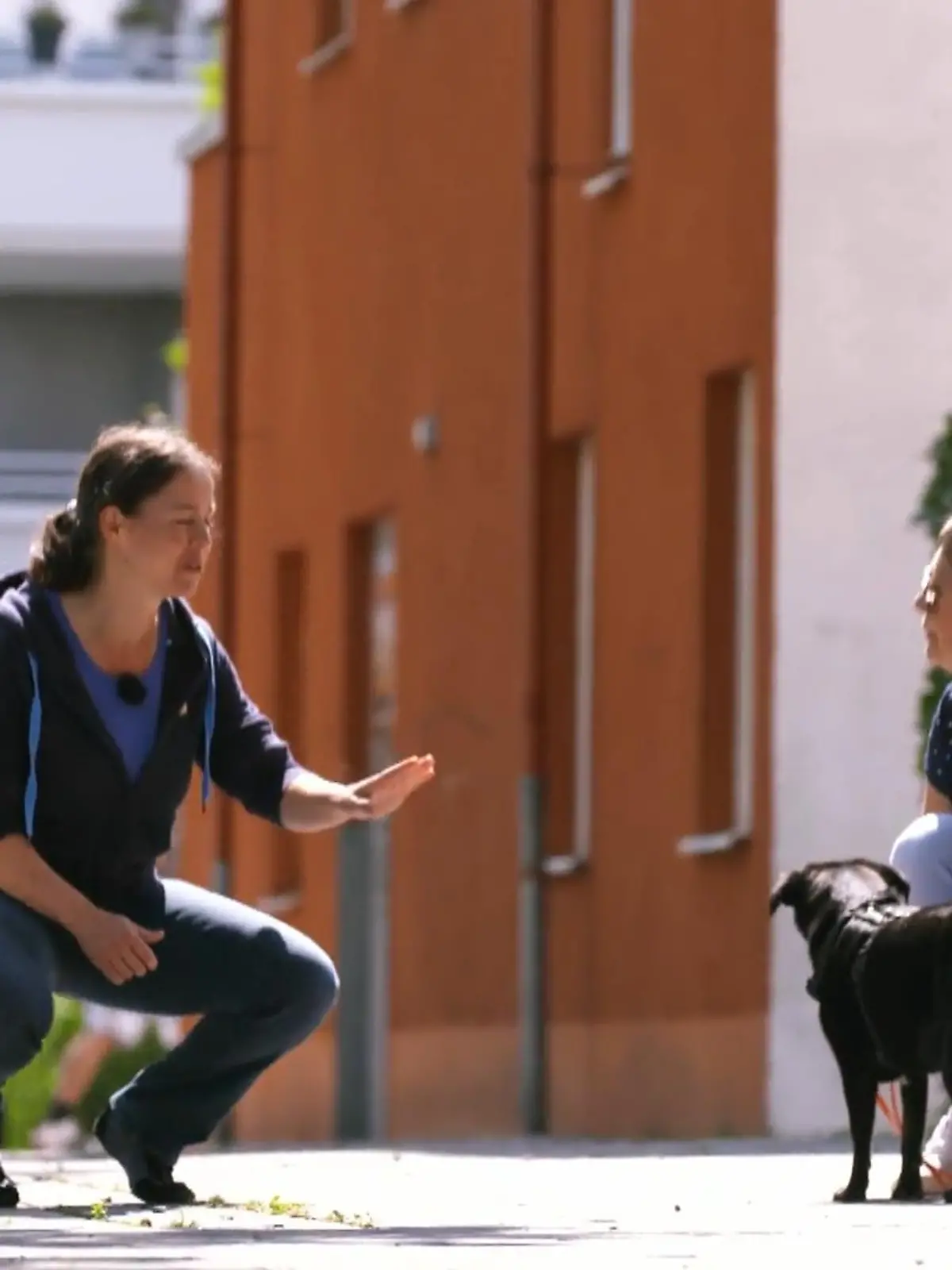 Bild zu: "Elli ist mittlerweile wie ein neuer Hund"