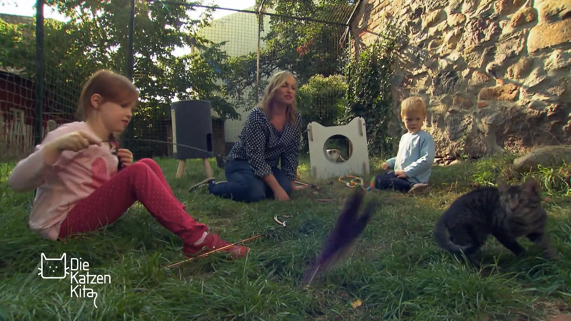 Die Katzen lernen heute Kinder kennen Nimmt das den Kätzchen die Angst?