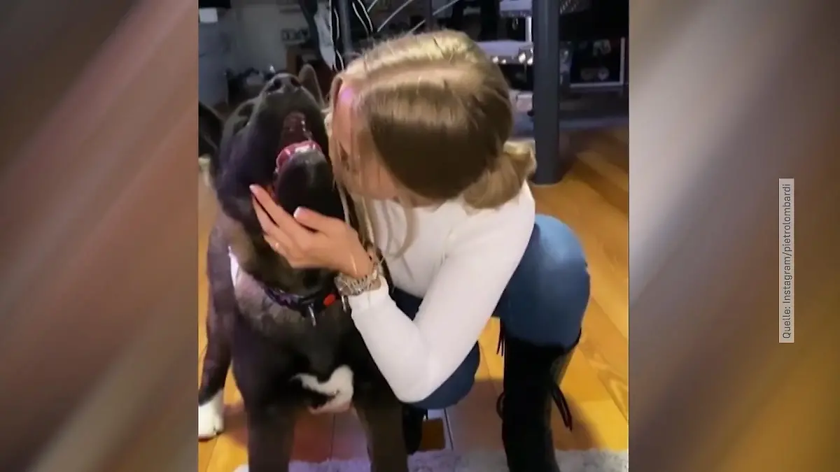 Pietro & Laura: Das ist ihr neuer Hund Pietro reagiert auf Kritik
