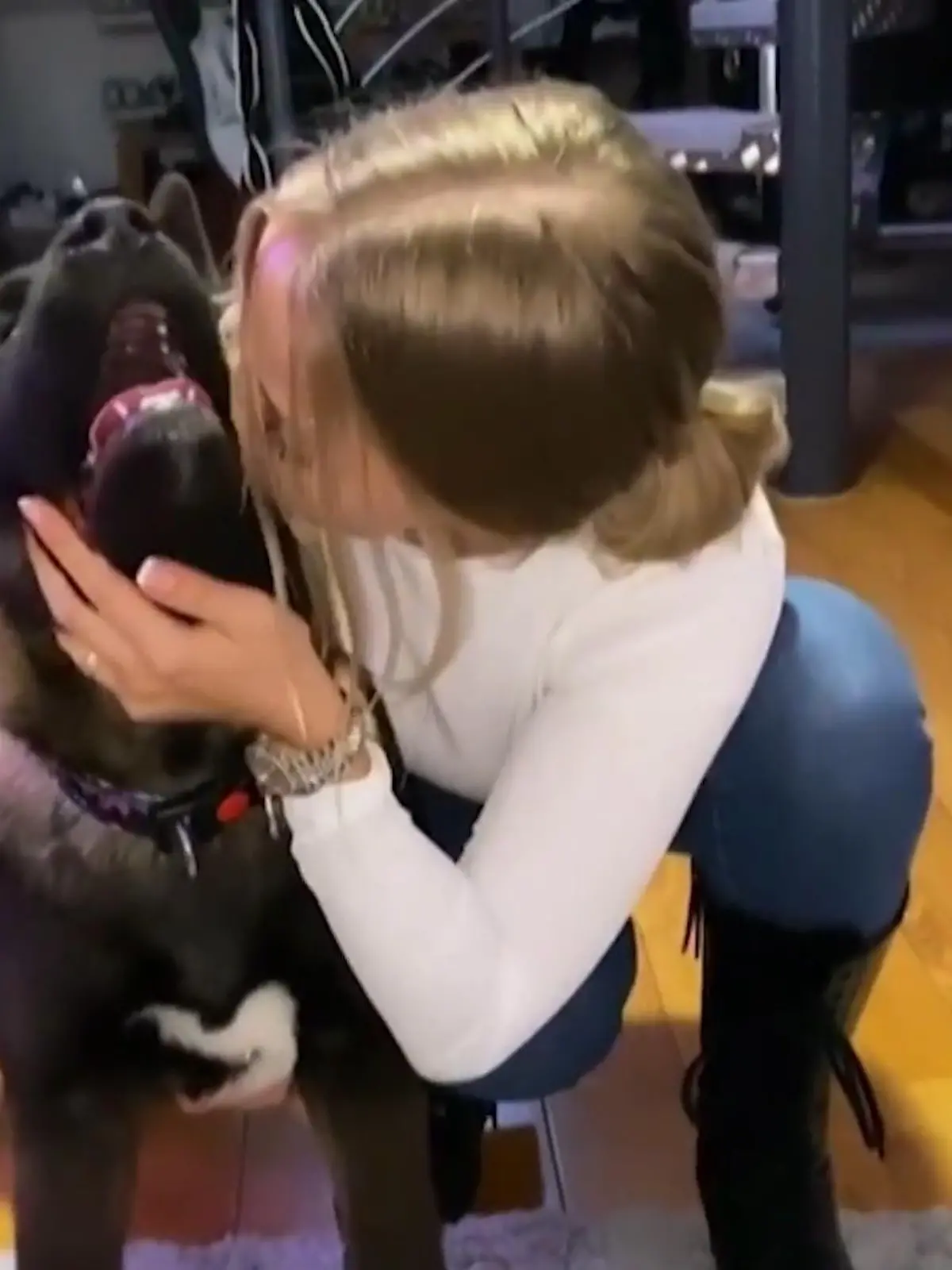 Bild zu: "Pietro & Laura: Das ist ihr neuer Hund"