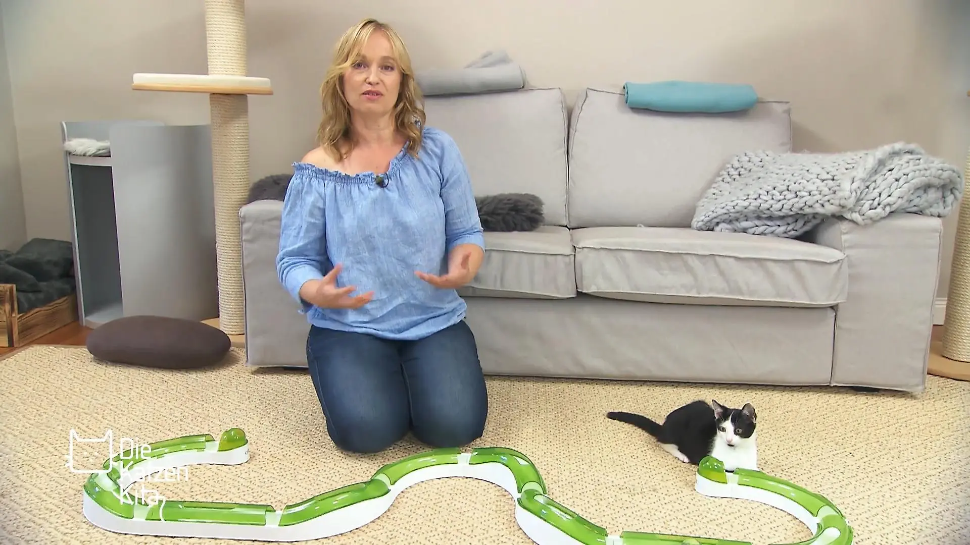 Lässt sich Cora ablenken während andere Katzen im Raum sind? Fummelbretter und Spielzeug als Beschäftigung