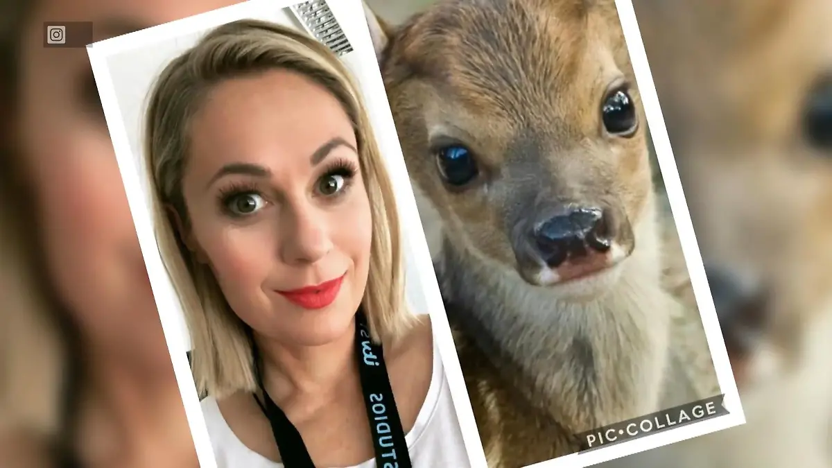 Ruth Moschner ruft lustige Tier-Challenge ins Leben Welchem Tier sehen die Promis ähnlich?