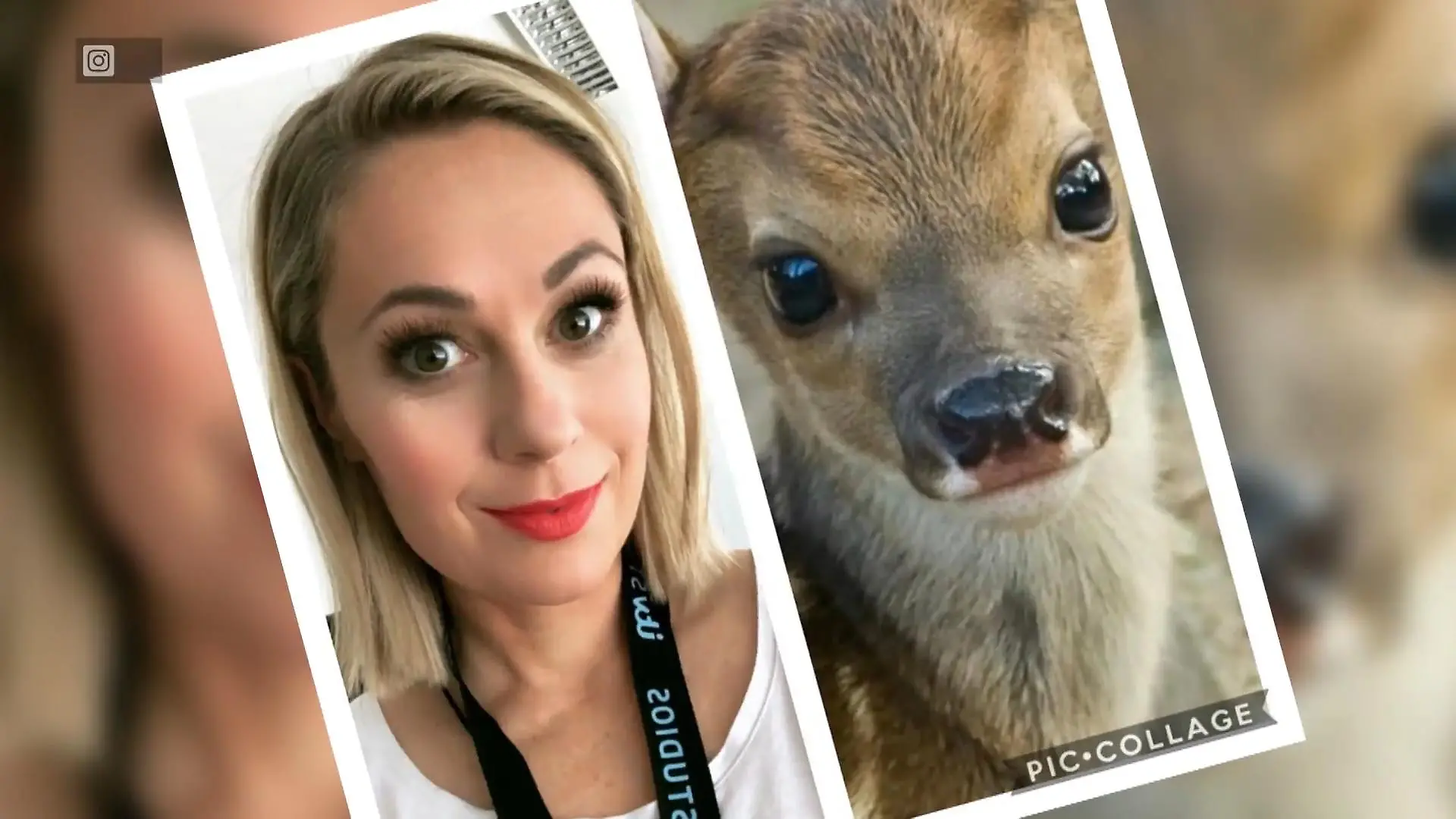 Ruth Moschner ruft lustige Tier-Challenge ins Leben Welchem Tier sehen die Promis ähnlich?