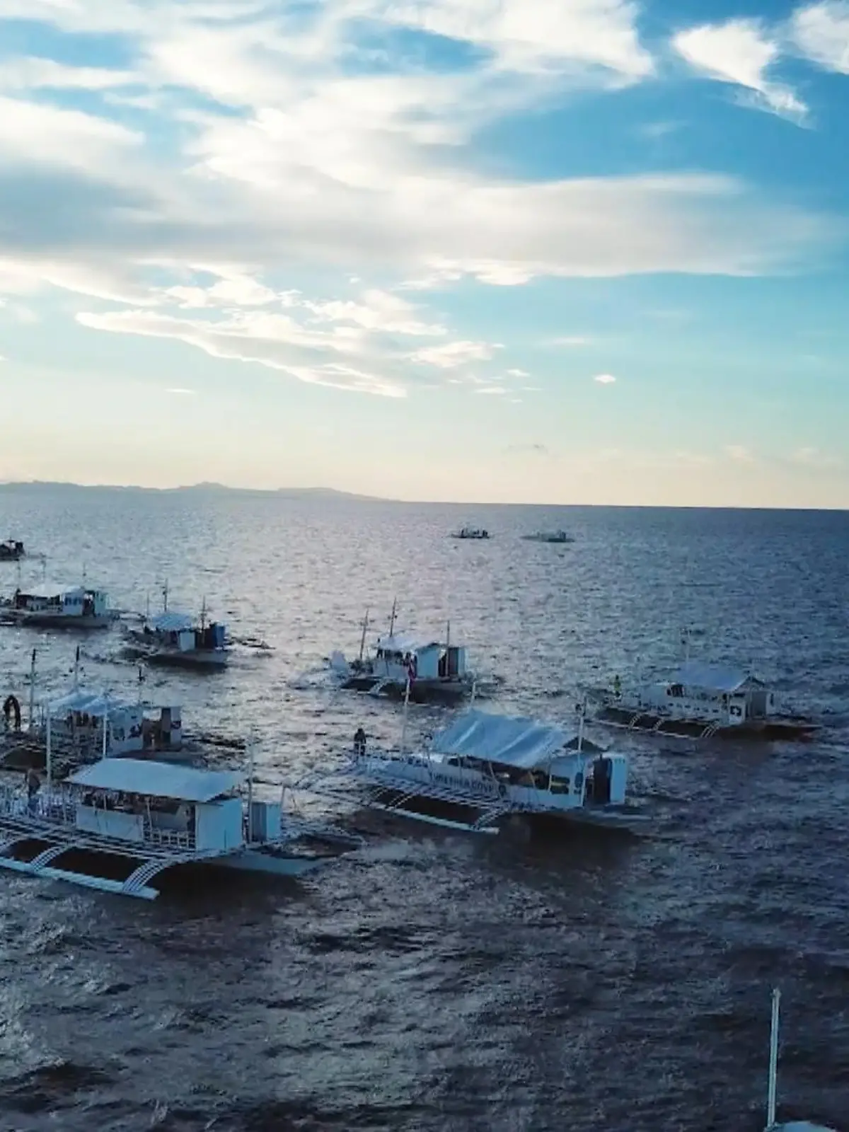 Bild zu: "Hobbytaucher und Touristen gefährden die Mission"