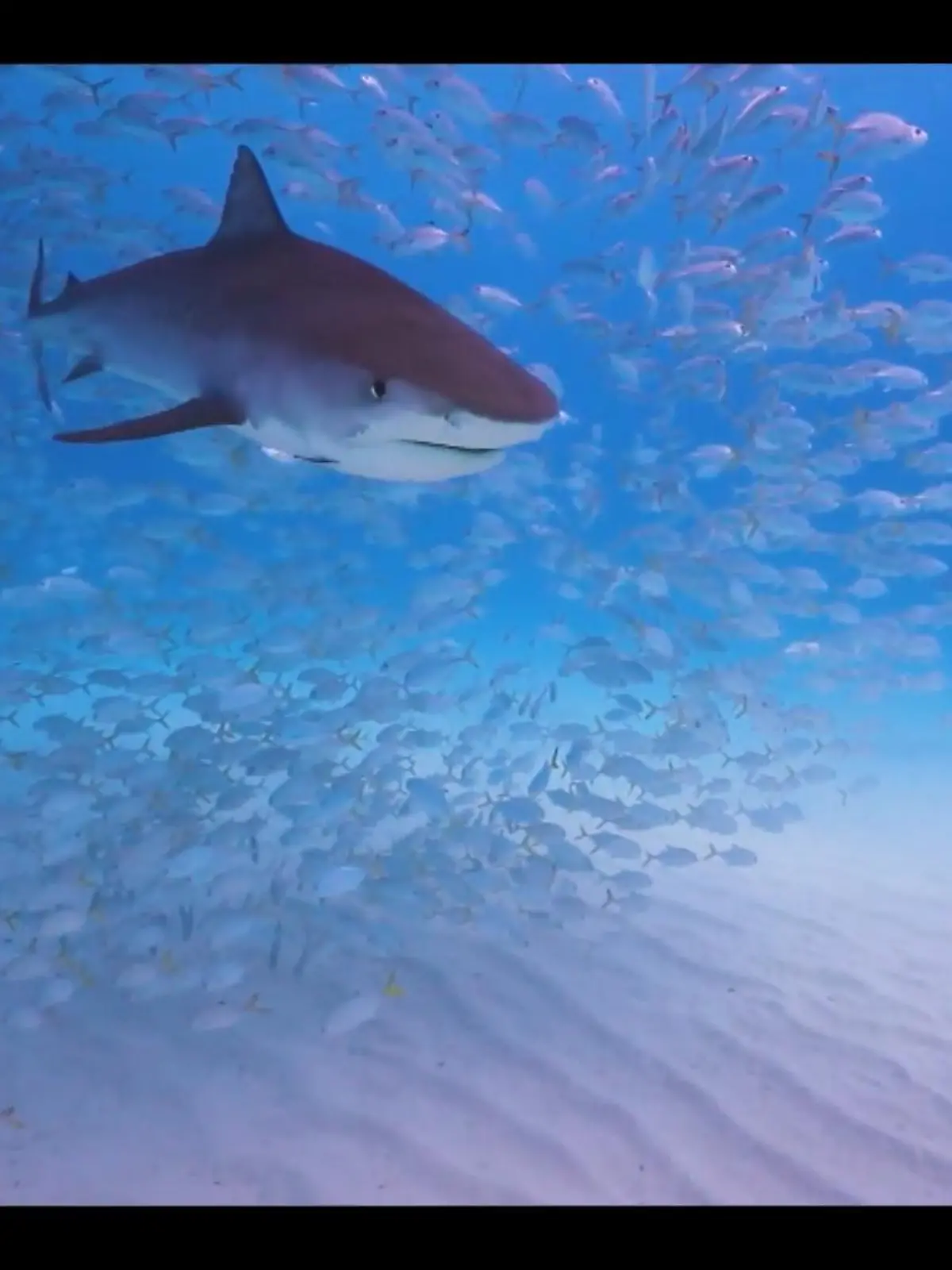 Bild zu: "Robert Marc Lehmann nimmt uns mit"