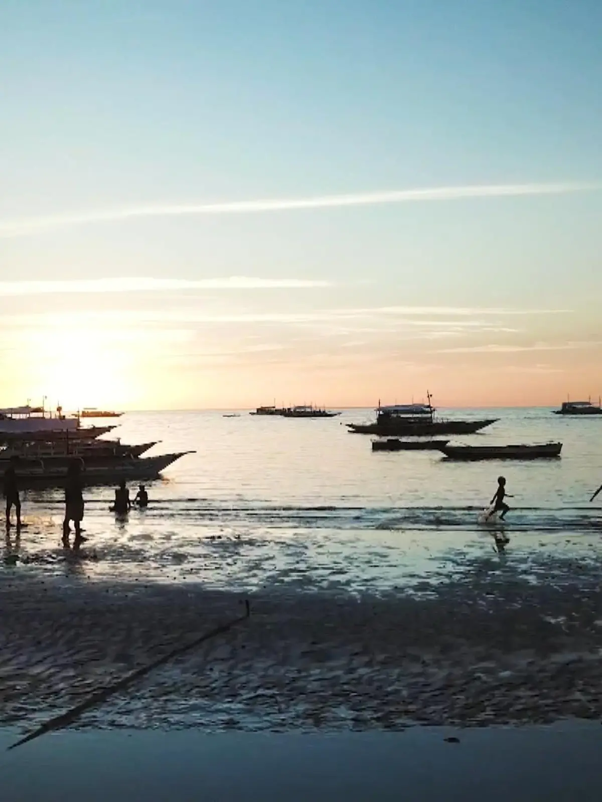 Bild zu: "Auf der Suche nach dem Fuchshai"