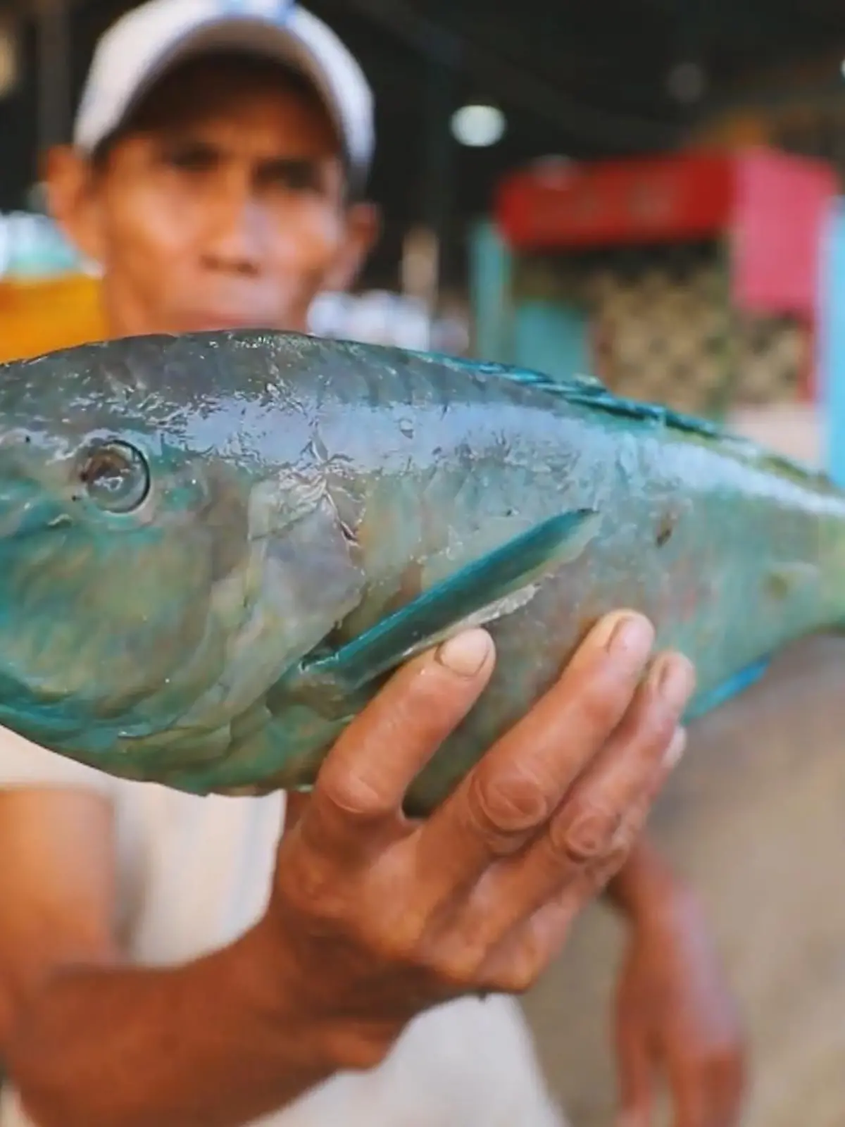 Bild zu: "Verbotene Arten auf Jakartas Fischmarkt"