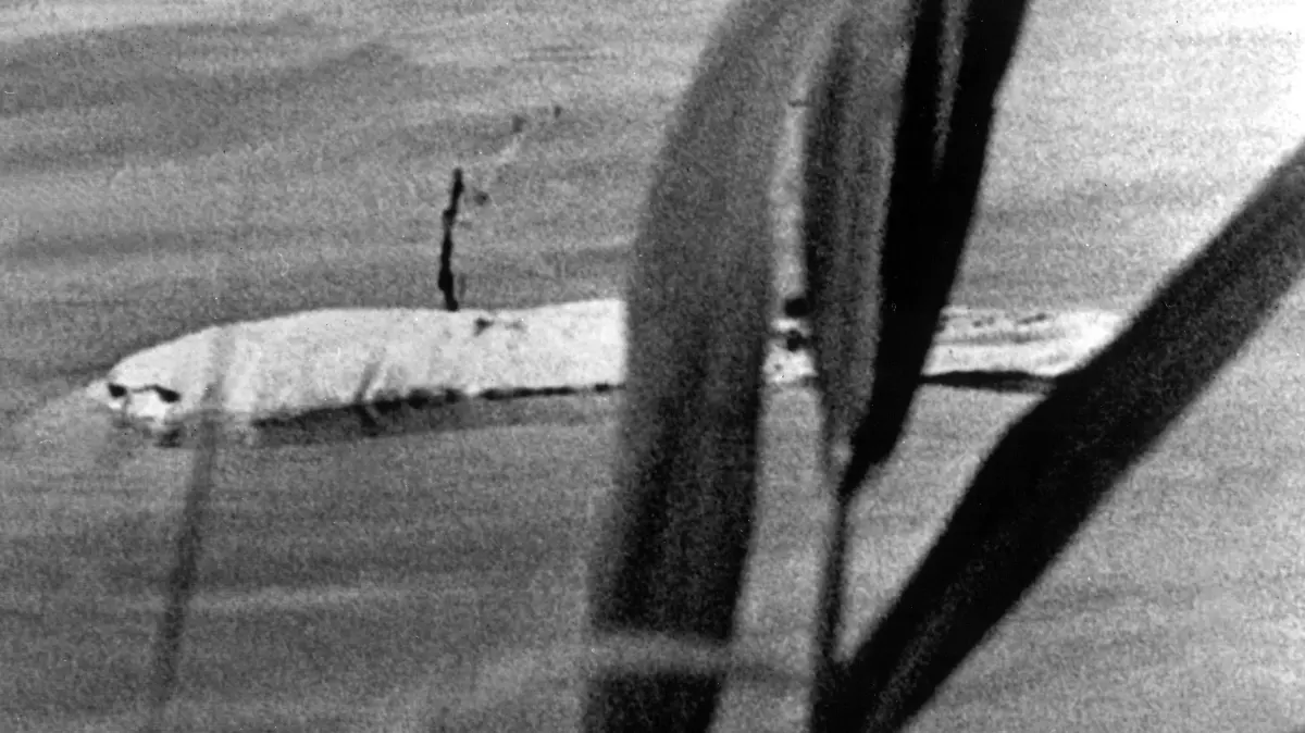 "Moby Dick", der weiße Beluga-Wal, der zuerst am 18. Mai 1966 bei Stromkilometer 778,5 in Höhe von Duisburg-Neuenkamp von den Rheinschiffern Bernd Albrecht und Willi Dethlevs gesichtet wurde und tagelang die Nation in Atem hielt, ist offensichtlich in friedliche holländische Gewässer entwischt. Der niederländische Angler Jan Stappenbolt aus Zwolle hat am 25. Mai vom Ufer des Ijsselmeeres aus dieses Foto von ihm geschossen.
