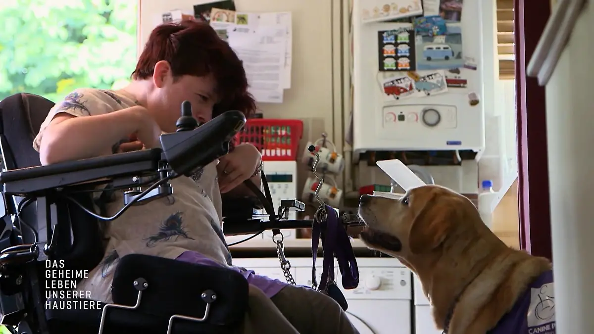 Assistenzhund Eli unterstützt Lorna in ihrem Alltag Ihr verlängerter Arm