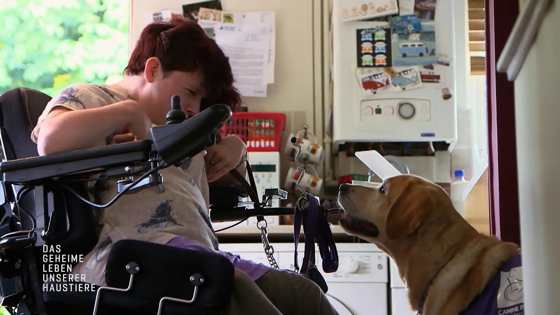 Assistenzhund Eli unterstützt Lorna in ihrem Alltag Ihr verlängerter Arm