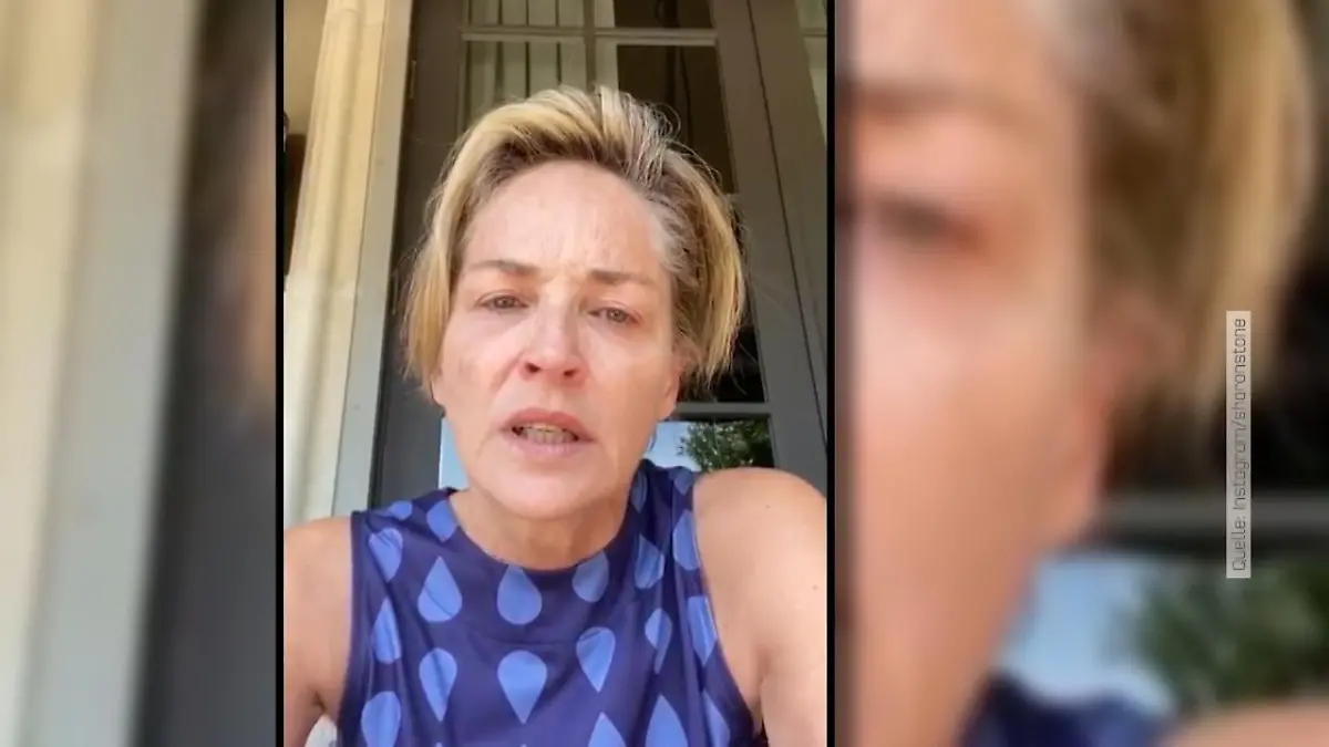 Sharon Stone greift Trumps Corona-Politk an "Wählt keinen Mörder!"