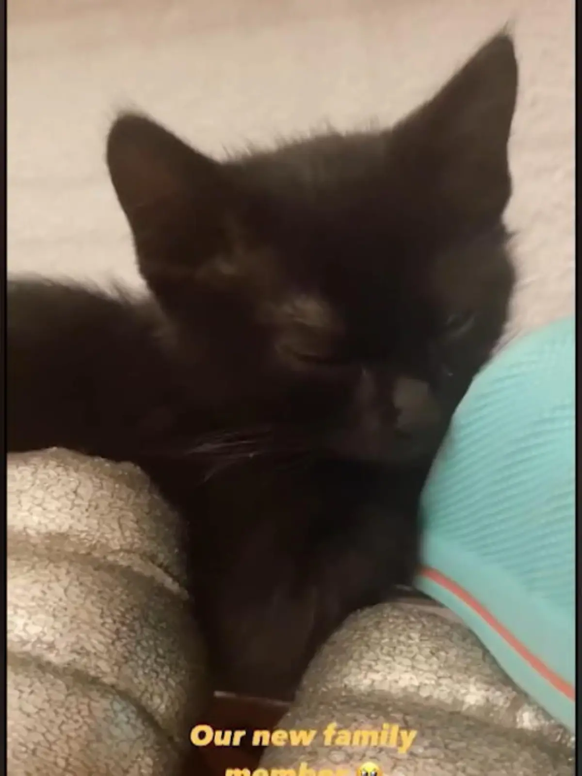 Bild zu: "Bonnie Strange hat einen tierischen Sohn"