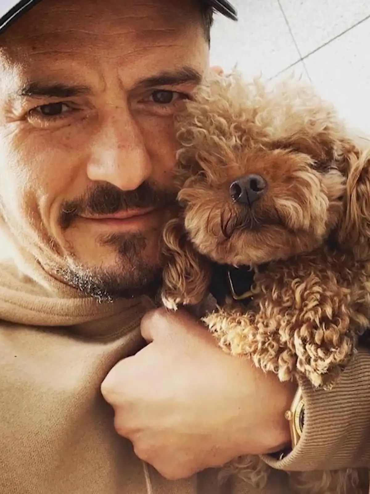Bild zu: "Orlando Blooms Pudel Tattoo"