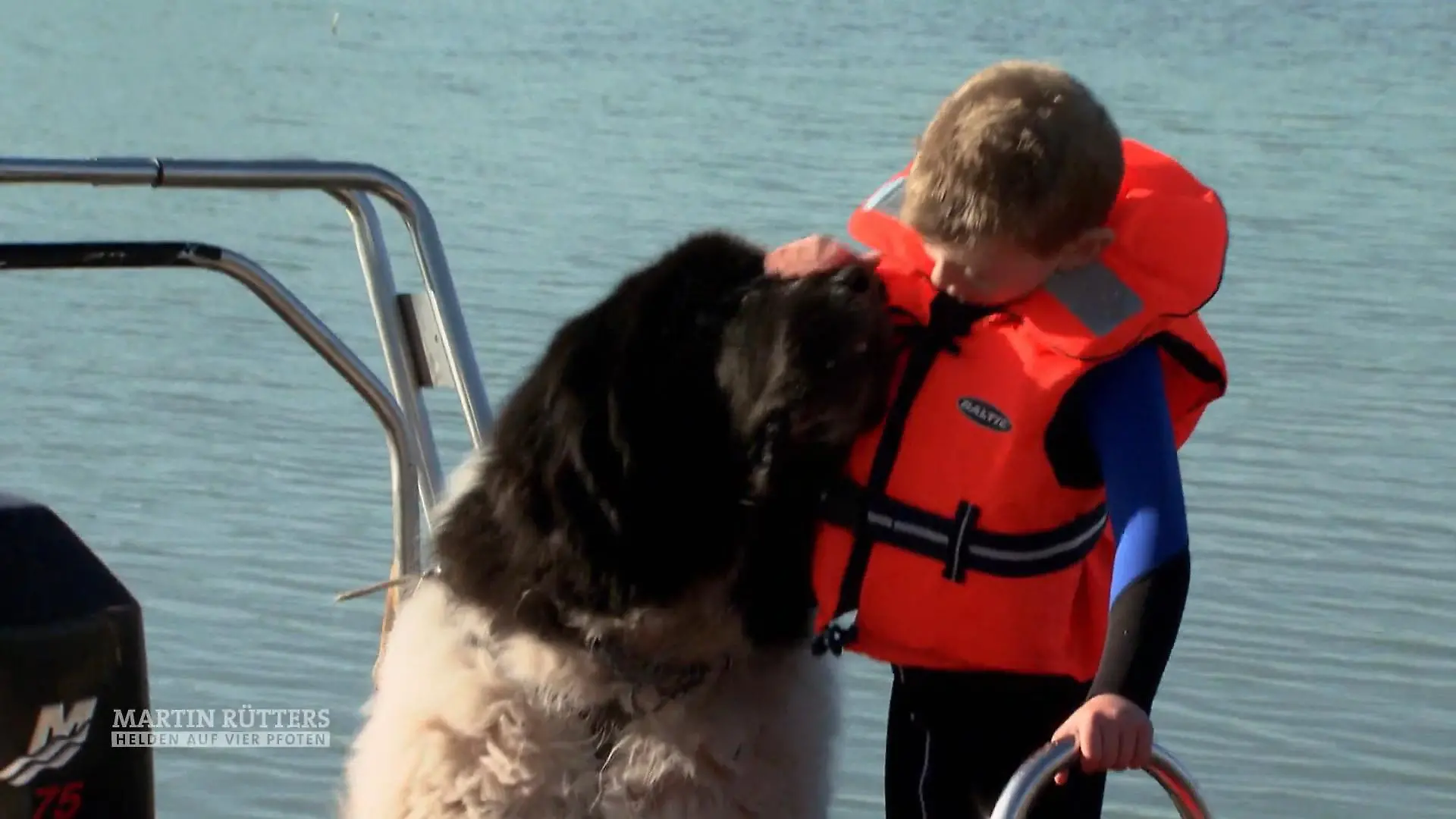 Neufundländer Wiz therapiert lernbehinderte Kinder Spaß für Hund und Mensch