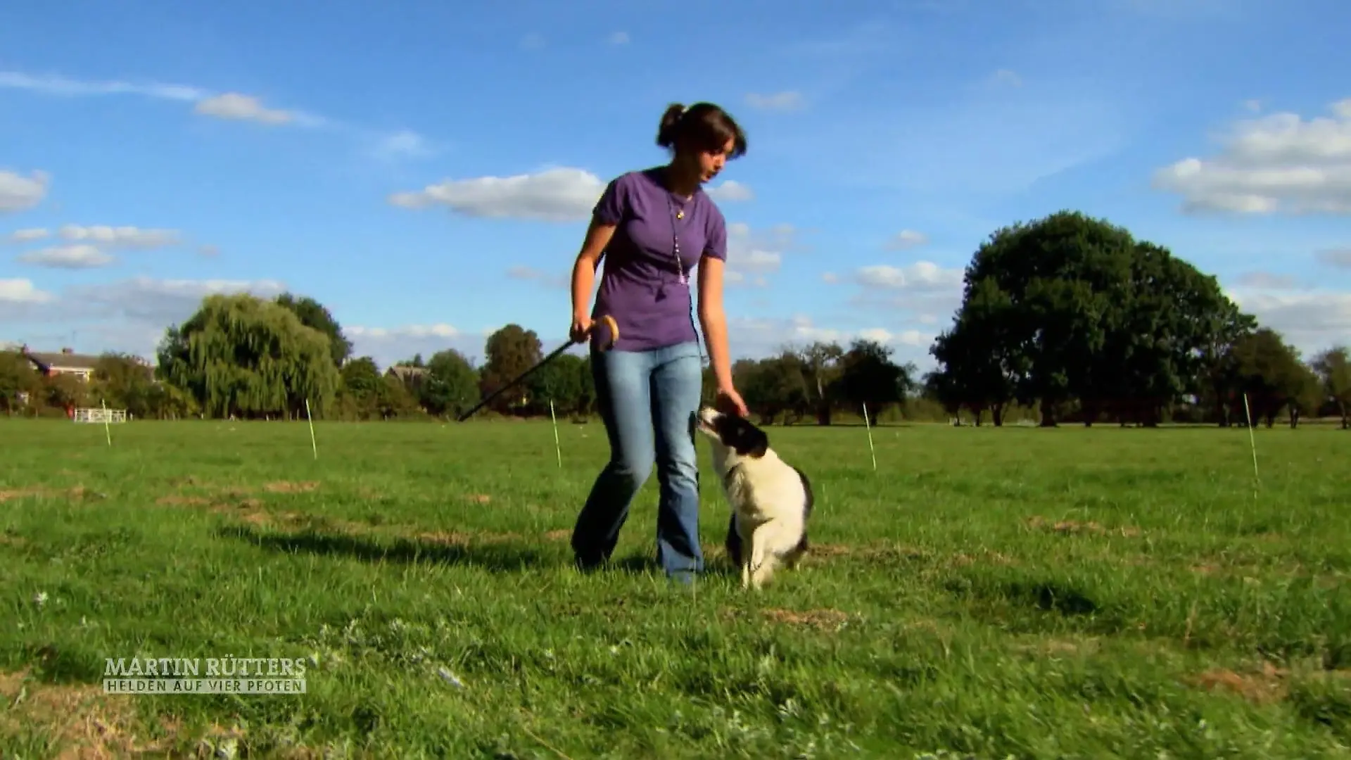 Amy und Mist üben für die Hütehund-Meisterschaften Der Sport wird von Männern dominiert