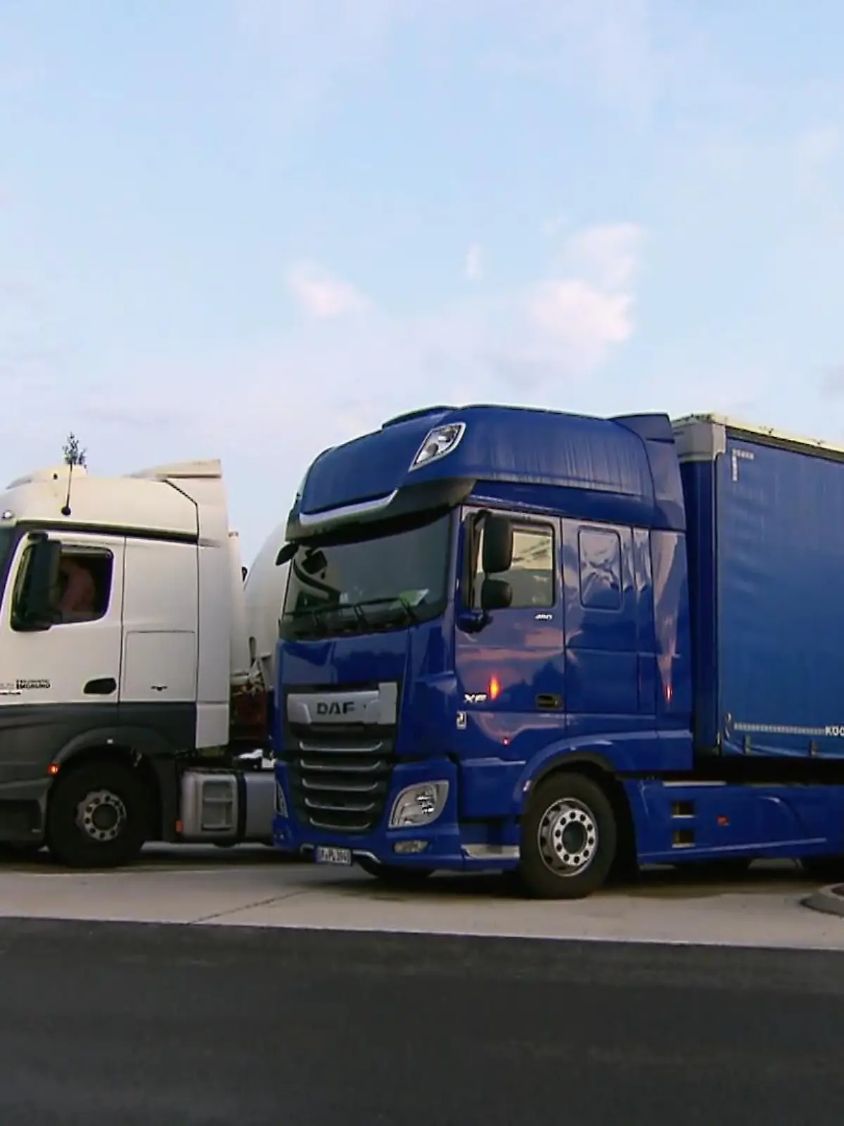 Bild zu: "Stella braucht dringend einen Parkplatz!"