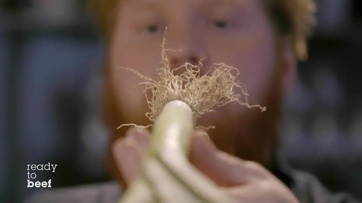 Lukas Mraz bringt "Dicken Lauch" mit Das ist seine geheime Zutat bei "Ready to beef!"