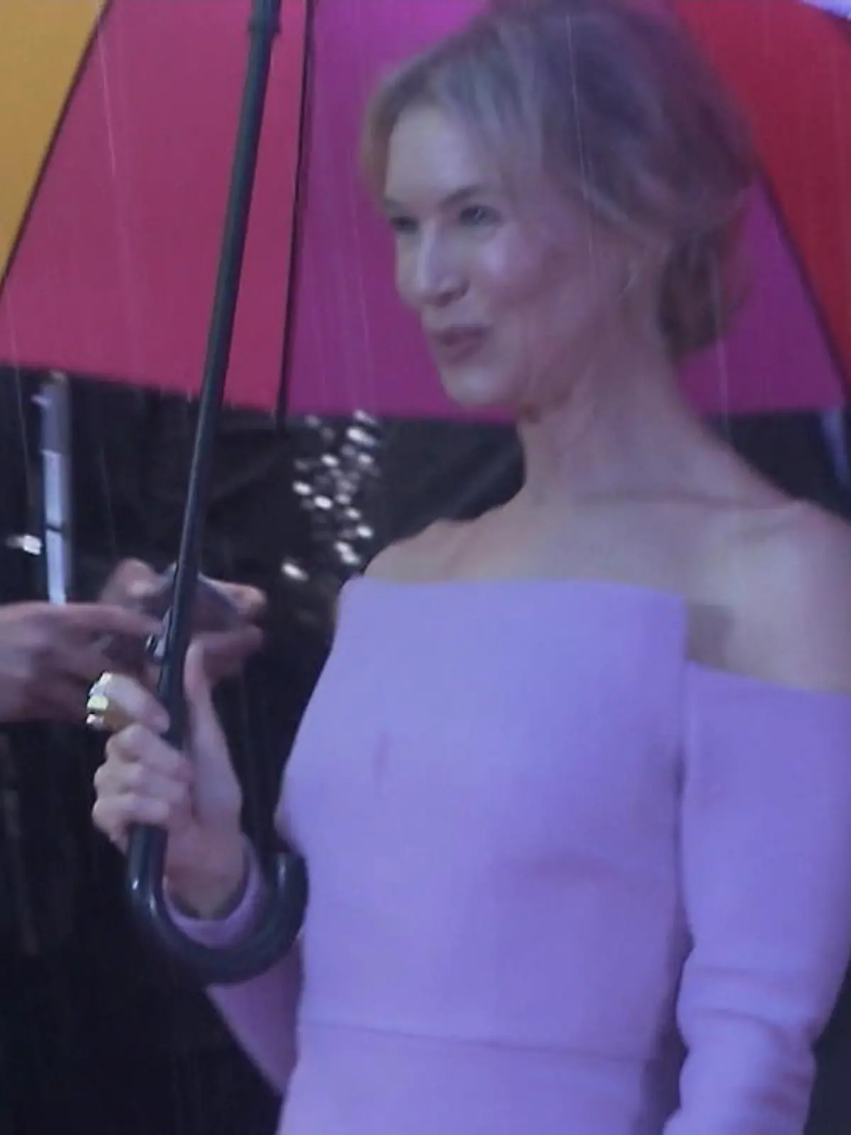 Bild zu: "So sehr hat sich Renée Zellweger verändert"