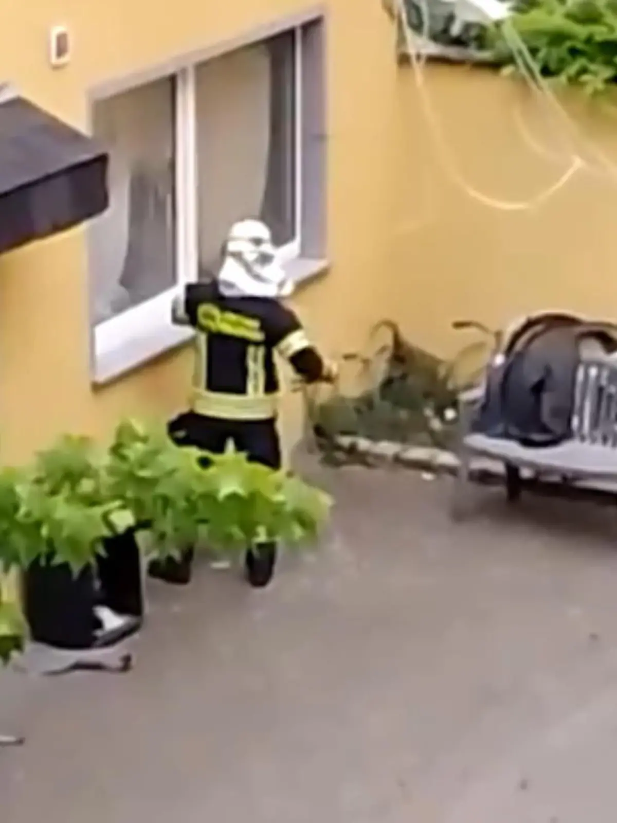 Bild zu: "Zwei Tote in Wohnung"
