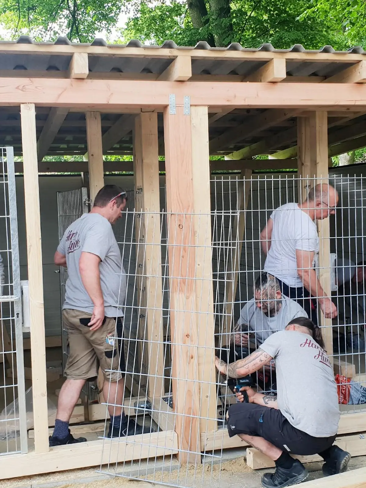 Bild zu: "Im Tierheim Geesthacht an der Elbe herrscht Ausnahmezustand."