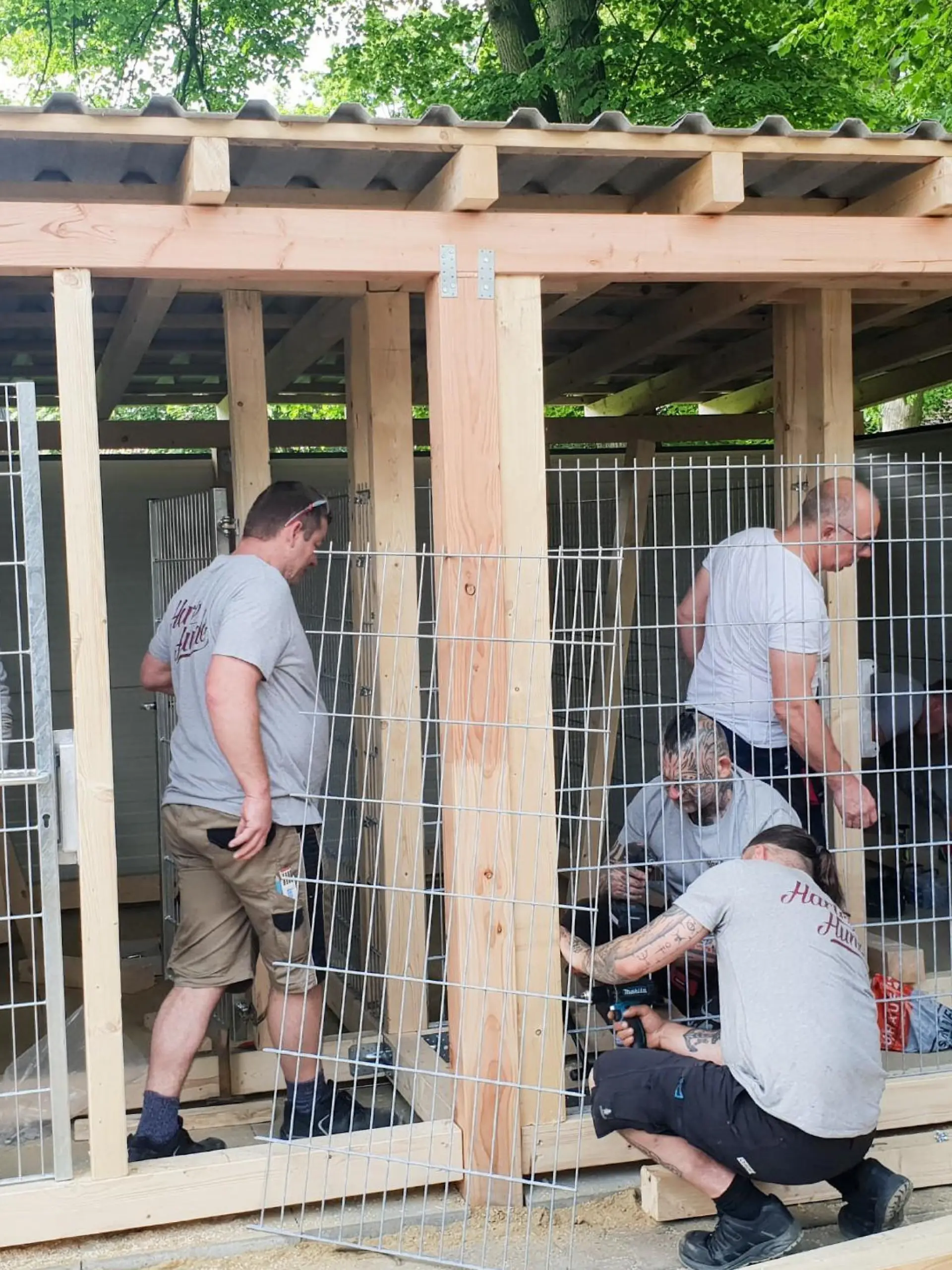 Bild zu: "Im Tierheim Geesthacht an der Elbe herrscht Ausnahmezustand."
