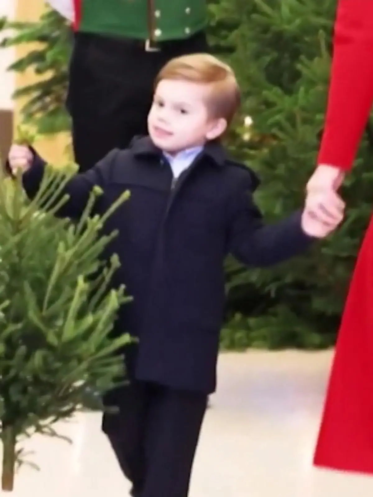 Bild zu: "Prinz Oscar empfängt die Weihnachtsbäume"