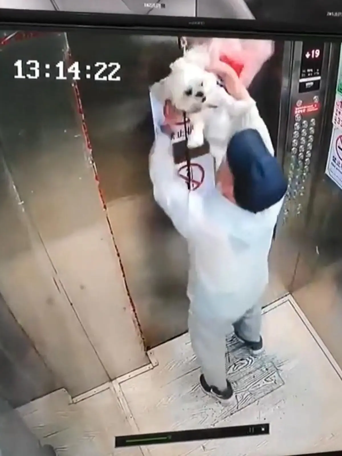 Eine Leine hätte ihm fast das Leben gekostet: In China hat sich ein Hund in einem Aufzug verfangen. Sein Herrchen hielt die Leine nicht mehr in der Hand – als sich der Lift schloss, lag sie zwischen den Türen – und verklemmte sich. Der Mann reagierte gerade noch rechtzeitig. Wir zeigen die dramatische Situation im Video.