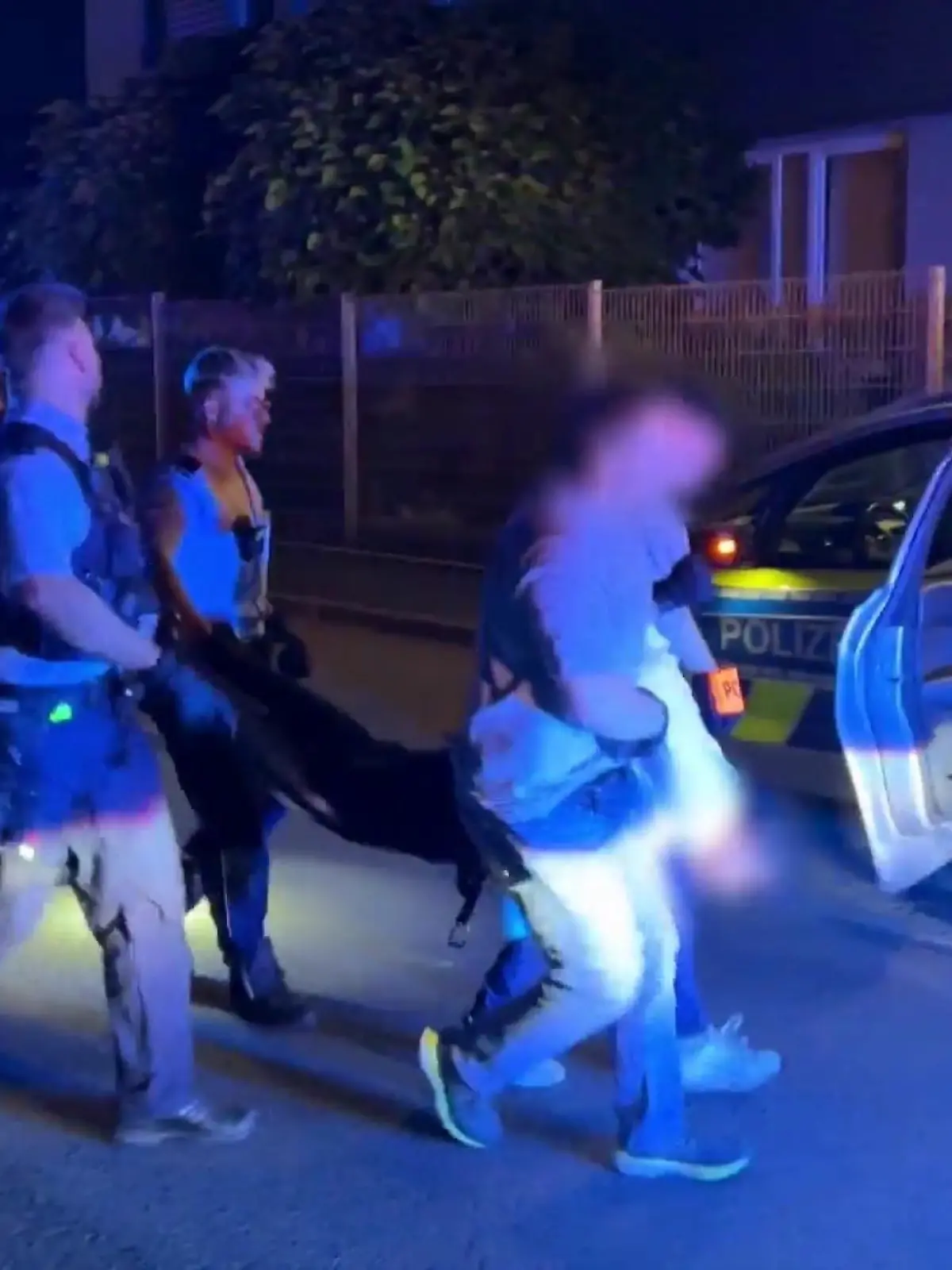 Bild zu: "Mann rast in Menschenmenge"