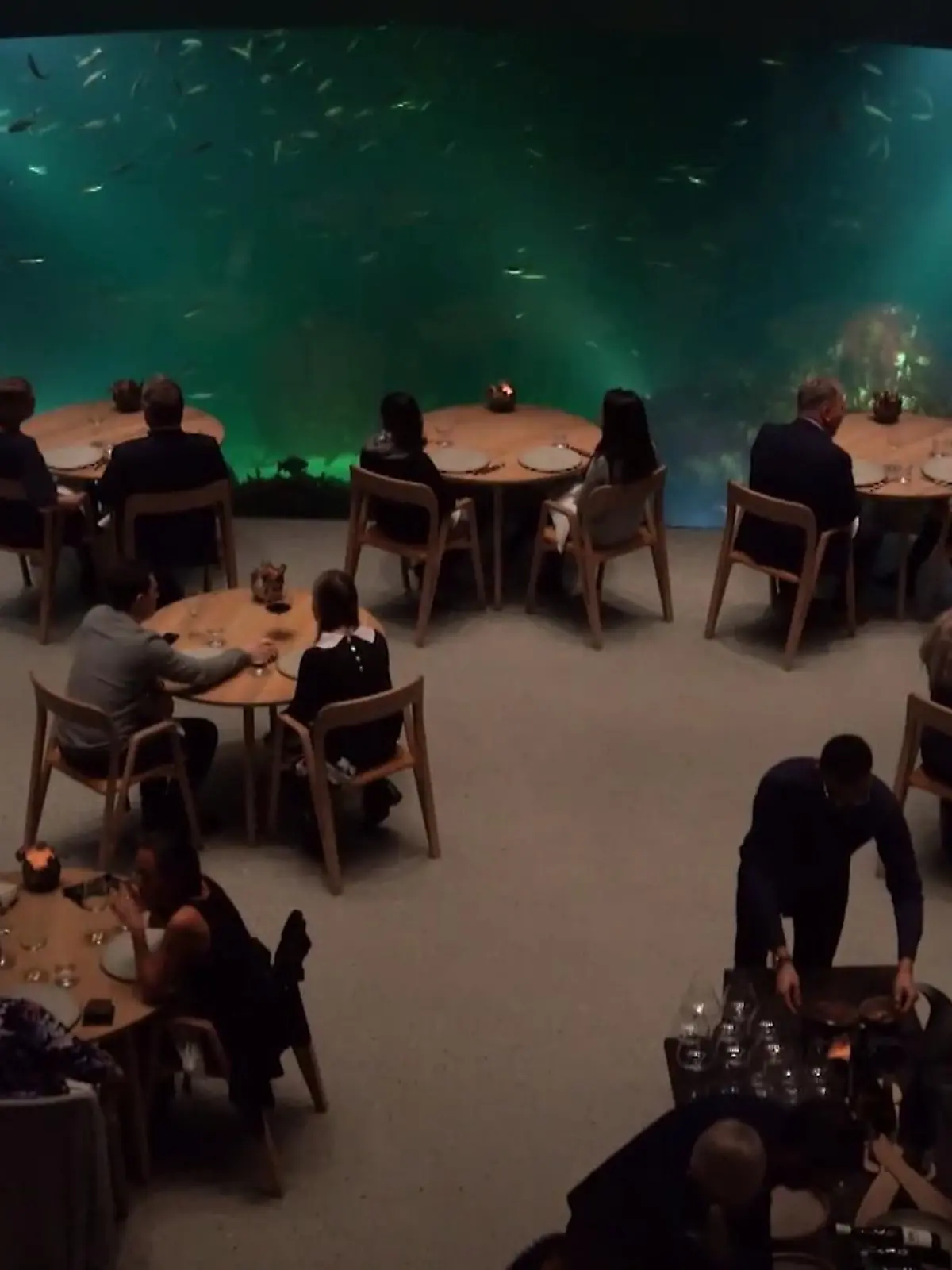 Bild zu: "Essen im norwegischen Unterwasserrestaurant"