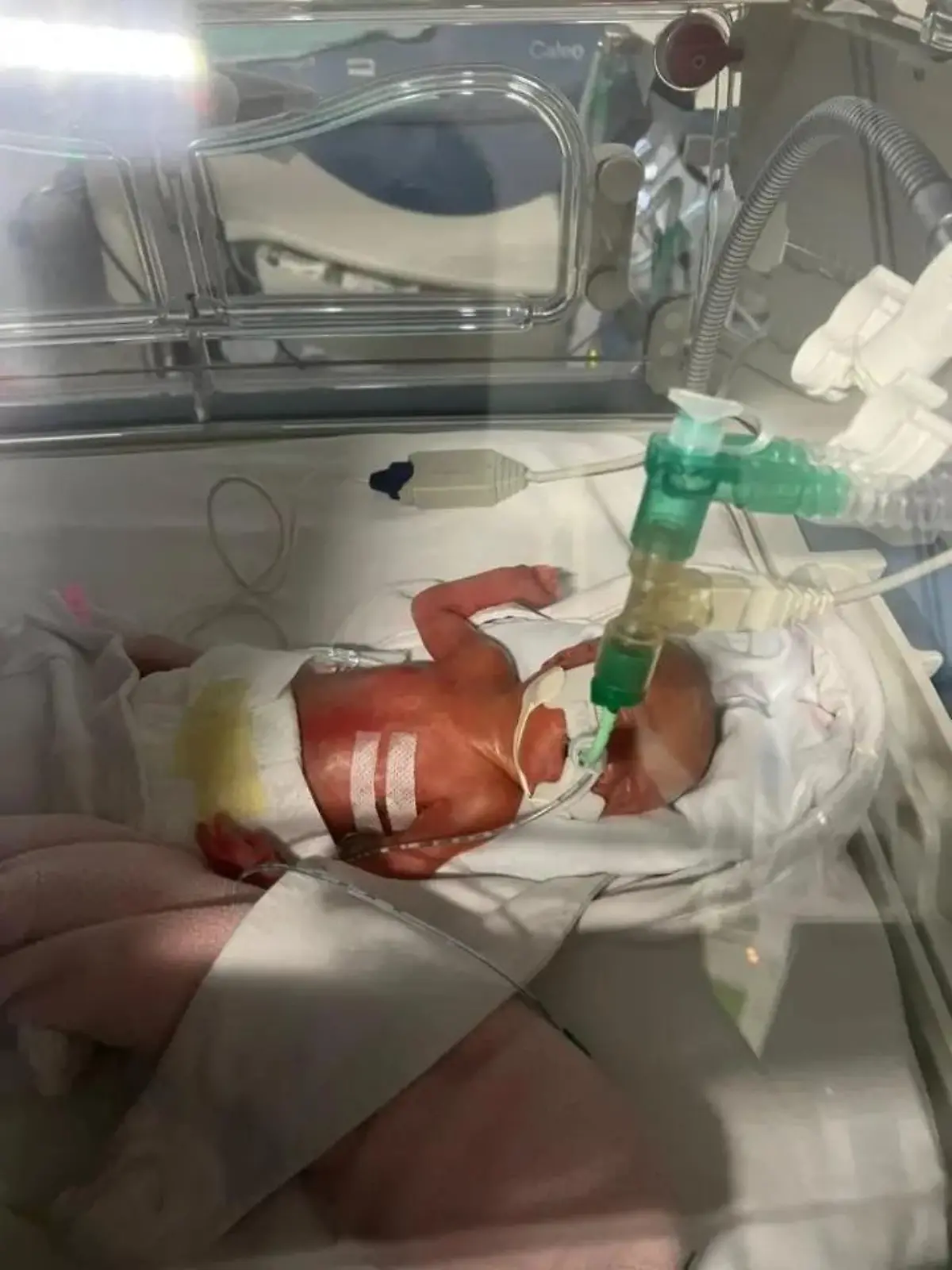 Baby in Brutkasten.