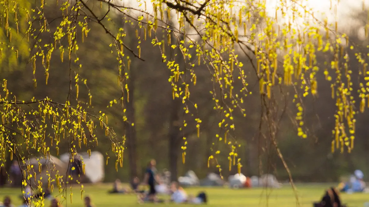 Berliner genießen am 01.04.2017 bei Temperaturen über 20 Grad Celcius die Sonne auf einer Wiese im Tiergarten in Berlin. Foto: Gregor Fischer/dpa +++(c) dpa - Bildfunk+++